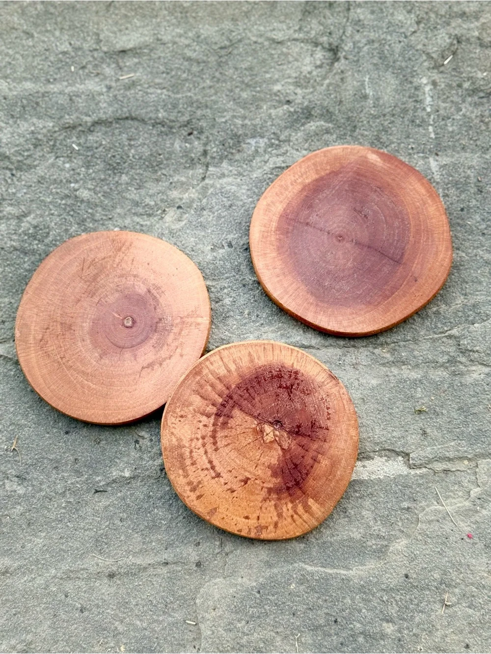 Natural Wood Slice Coasters - Set of 3